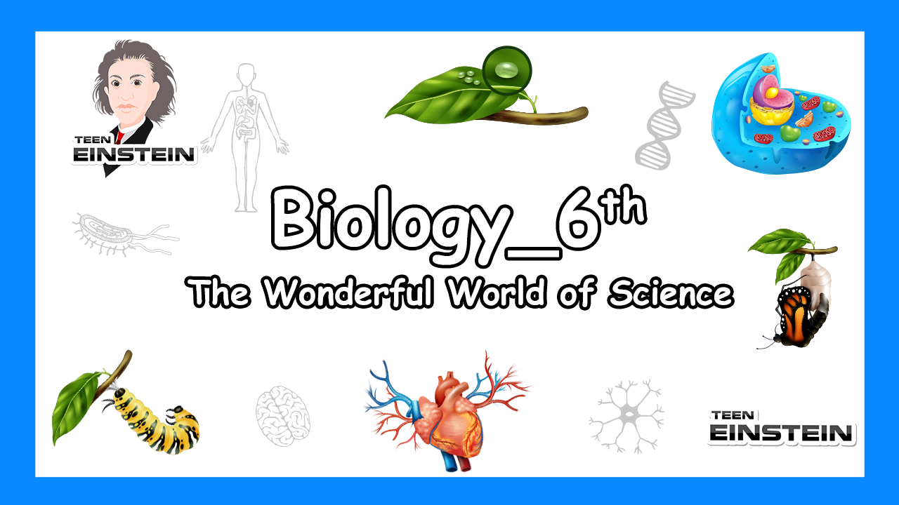 Chapter 1 | The Wonderful World of Science | Curiosity | Part 1 The Wonderful World of Science Chapter 1 | The Wonderful World of Science | Curiosity | Part 1